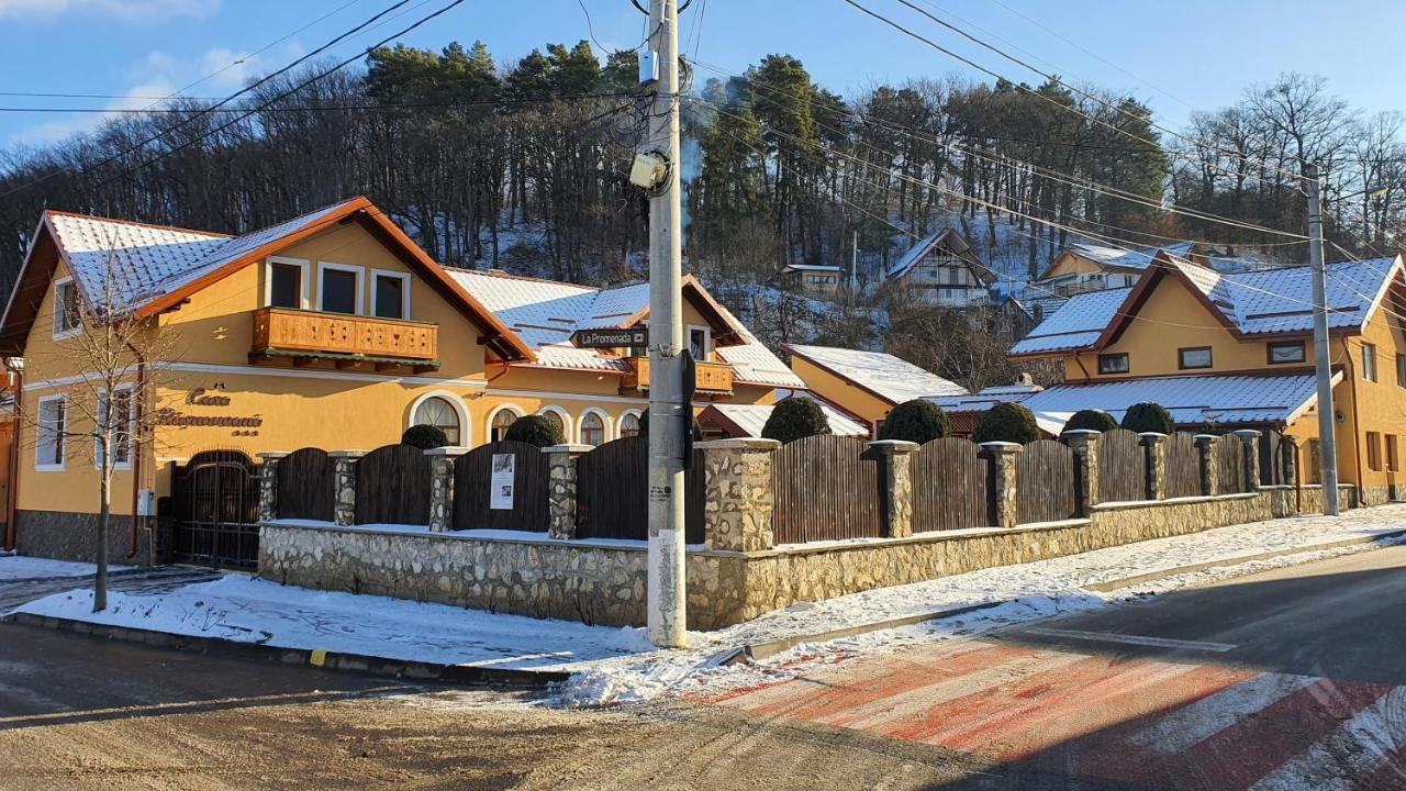 Casa Rasnoveana Bagian luar foto